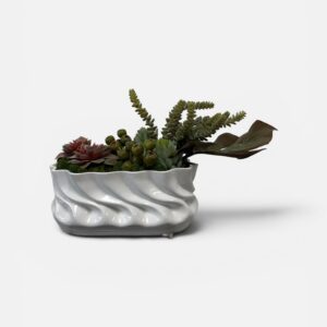 Succulent arrangement in white wavy ceramic planter