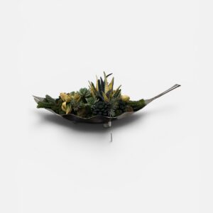 Metal ladle planter with mixed succulents
