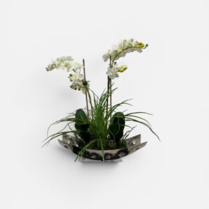 White orchid centerpiece in decorative bowl